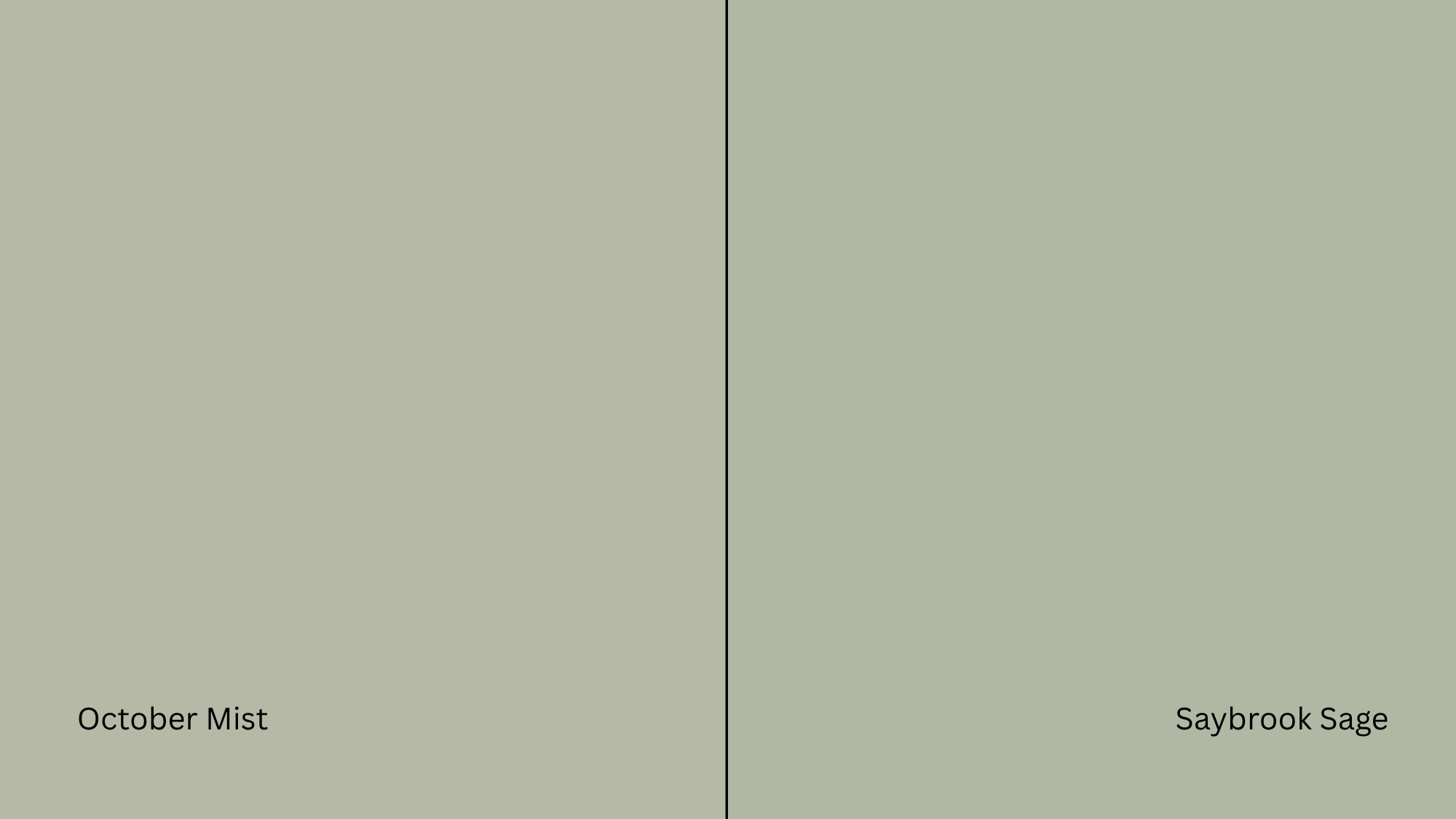 October Mist vs Saybrook Sage