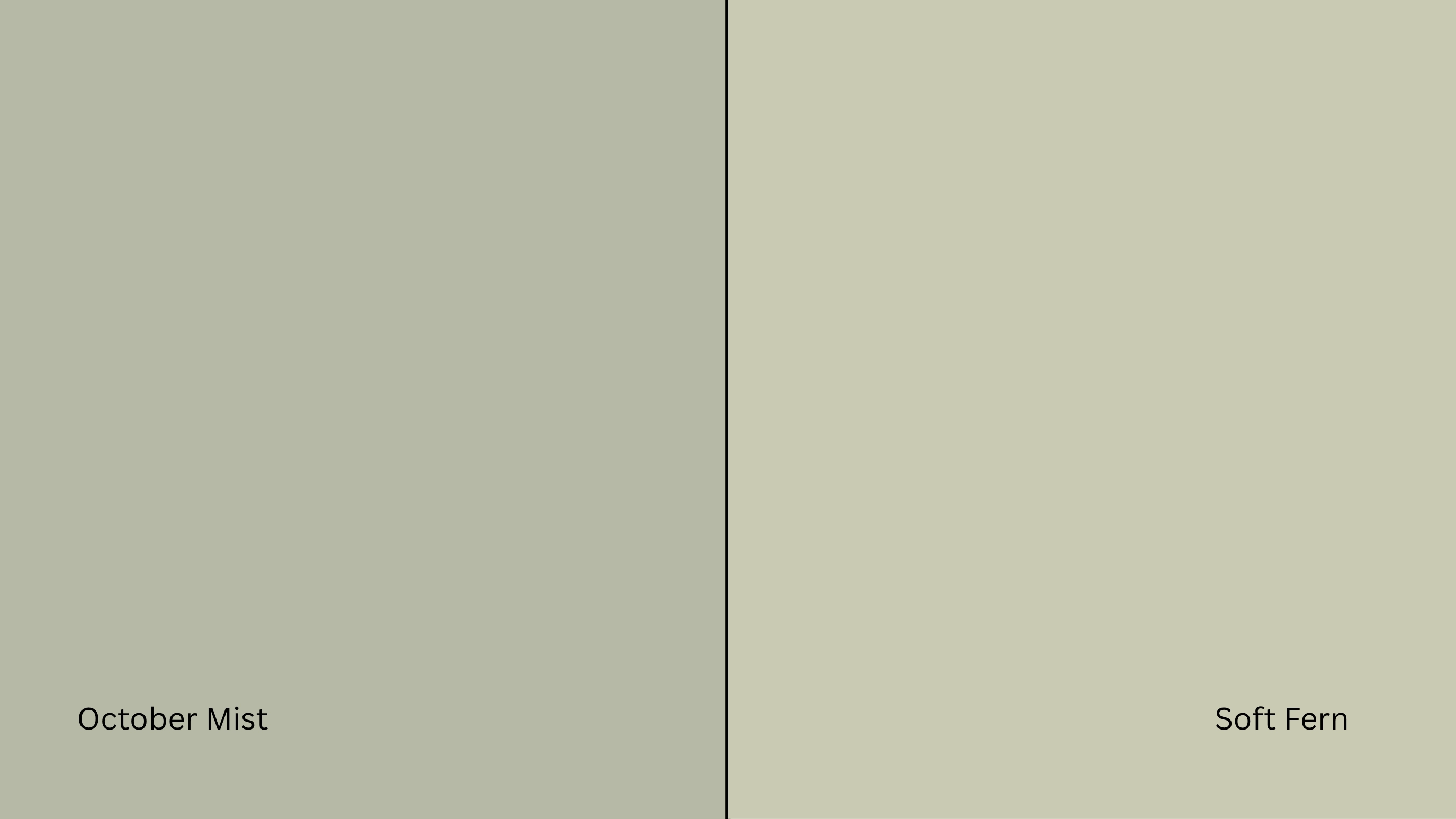 October Mist vs Soft Fern