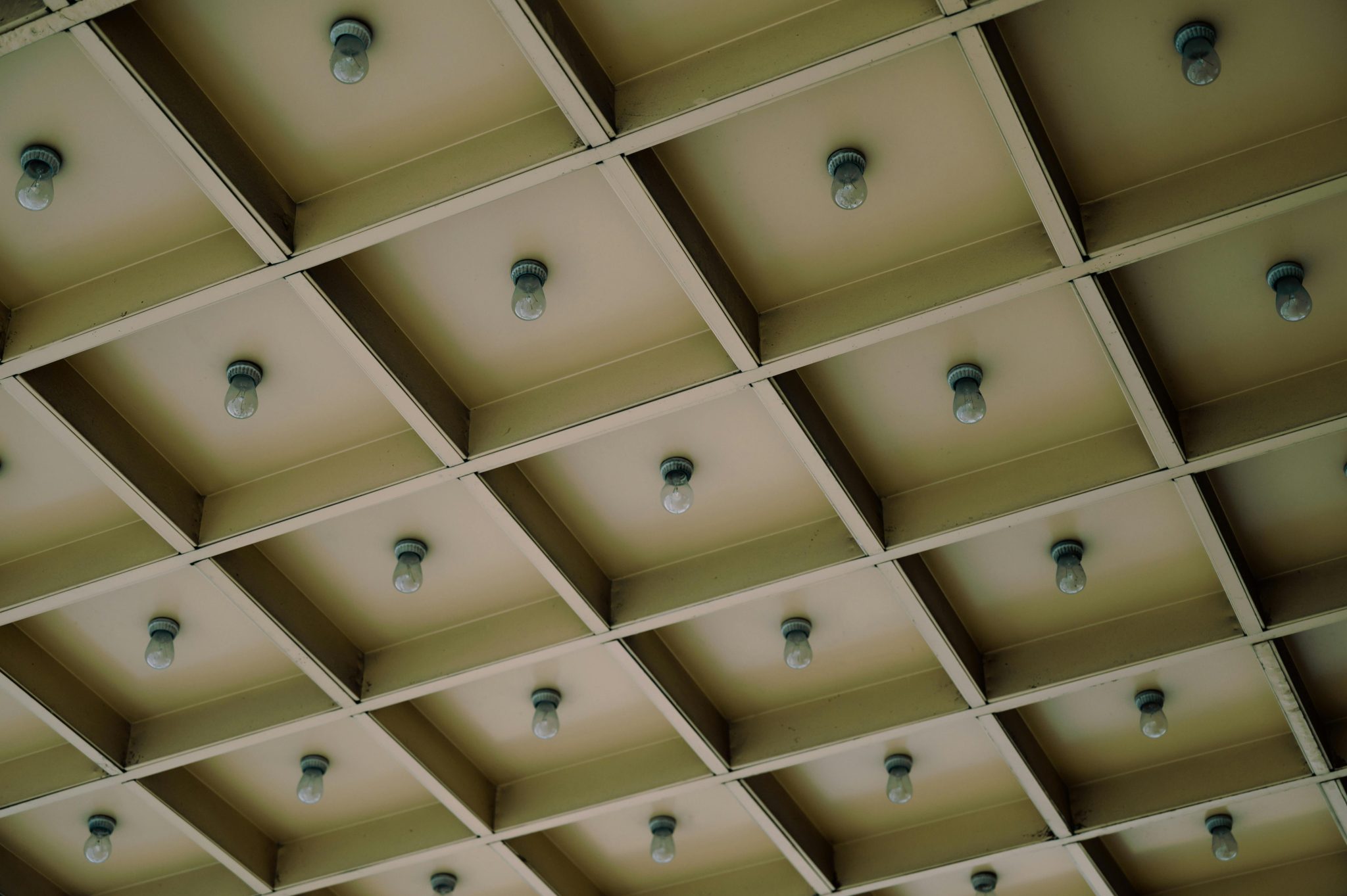 Waffle Grid Ceilings
