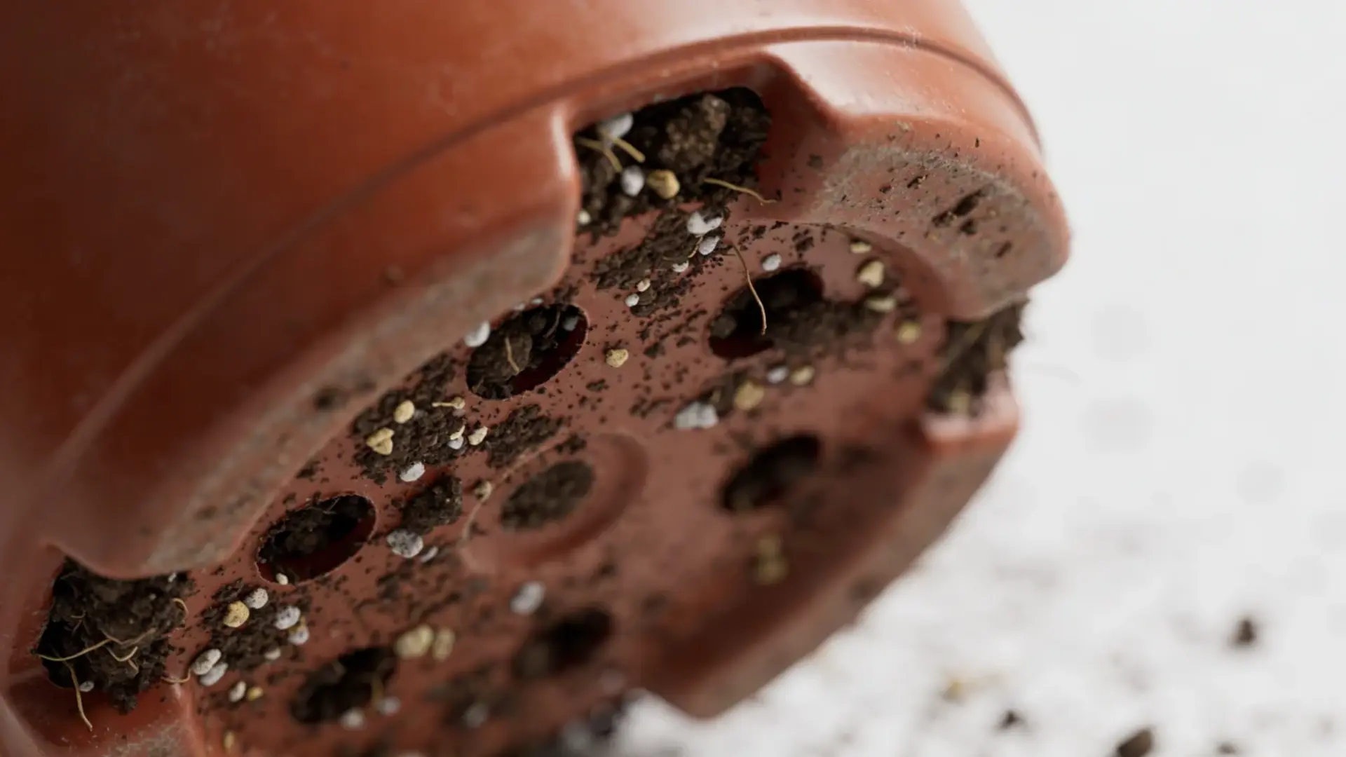 Plant pot with drainage holes and loose well-draining soil mix