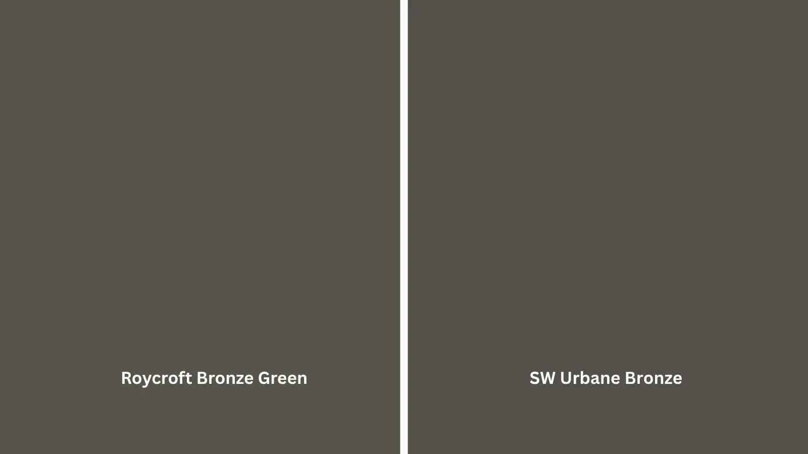 Two paint swatches side by side, one deep olive green and one dark brown gray color