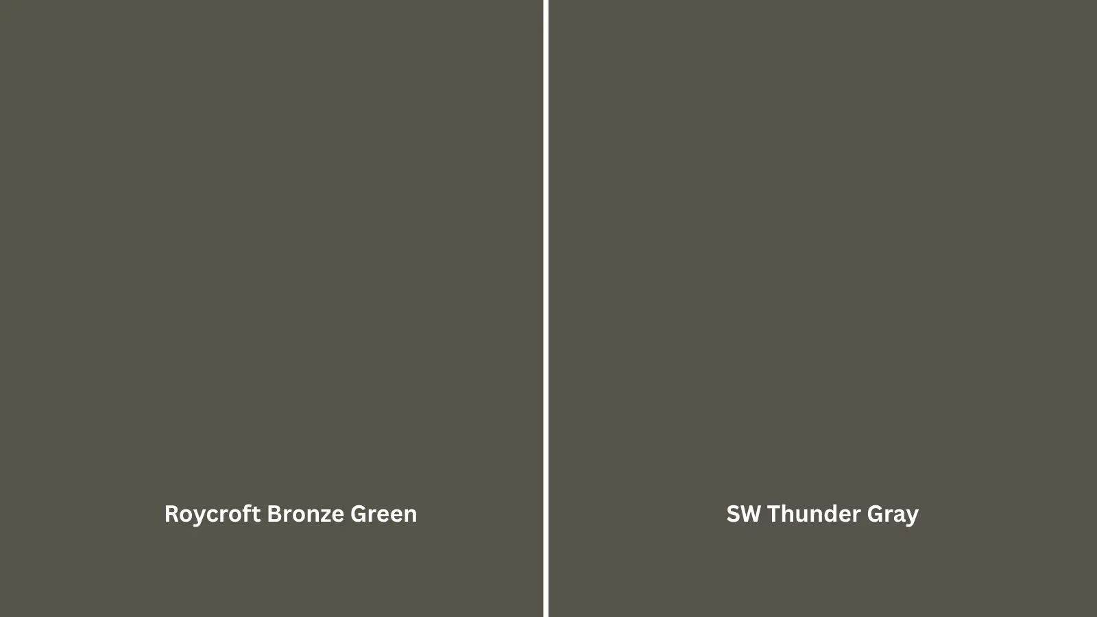Two paint swatches side by side, one warm dark olive green and one cooler dark gray green