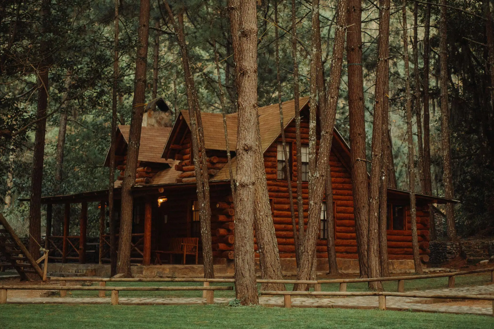 Wooden log cabin surrounded by tall pine trees in a forest setting