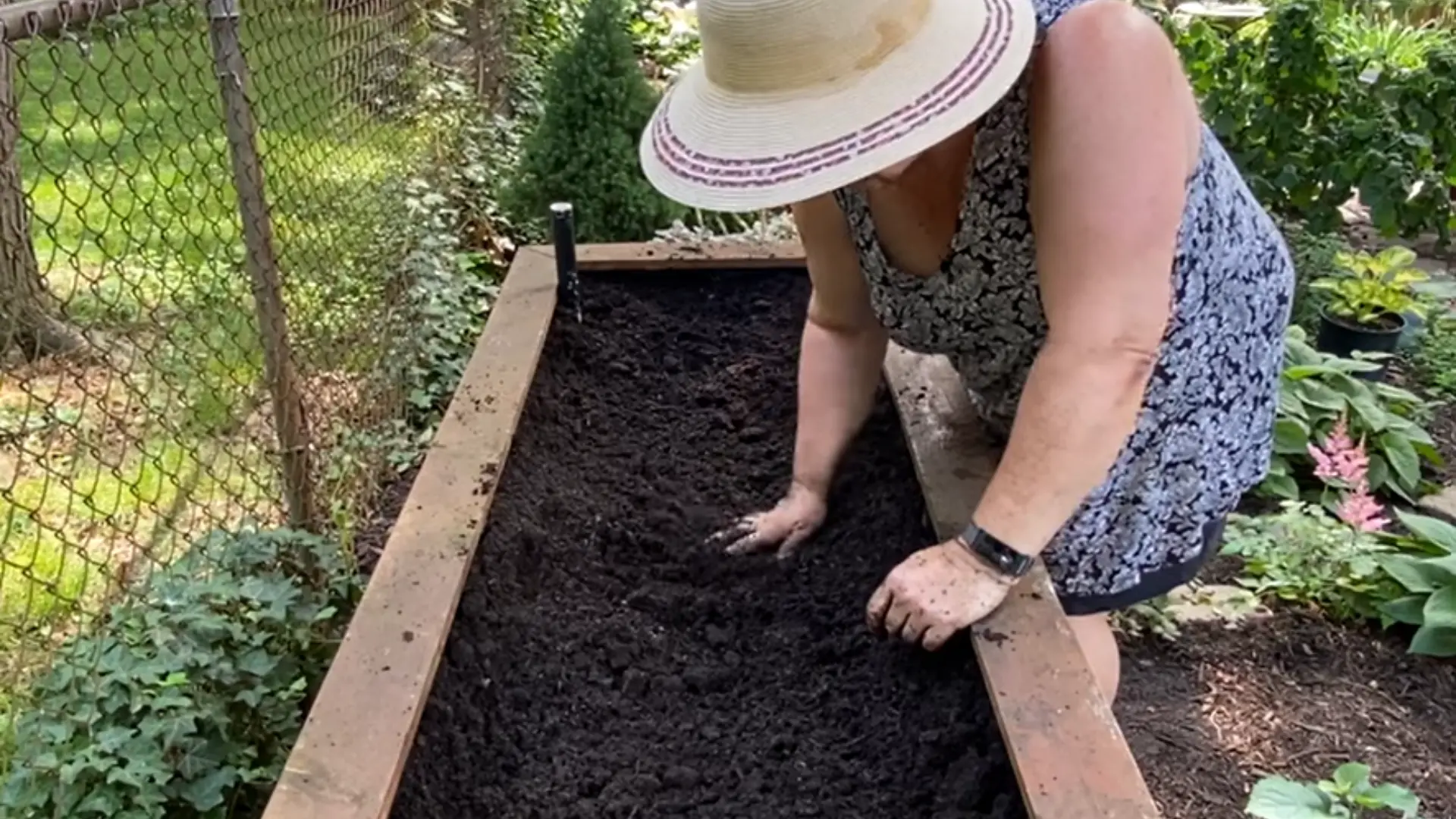 Person spreading soil inside a long raised garden planter outdoors near a fenced backyard garden
