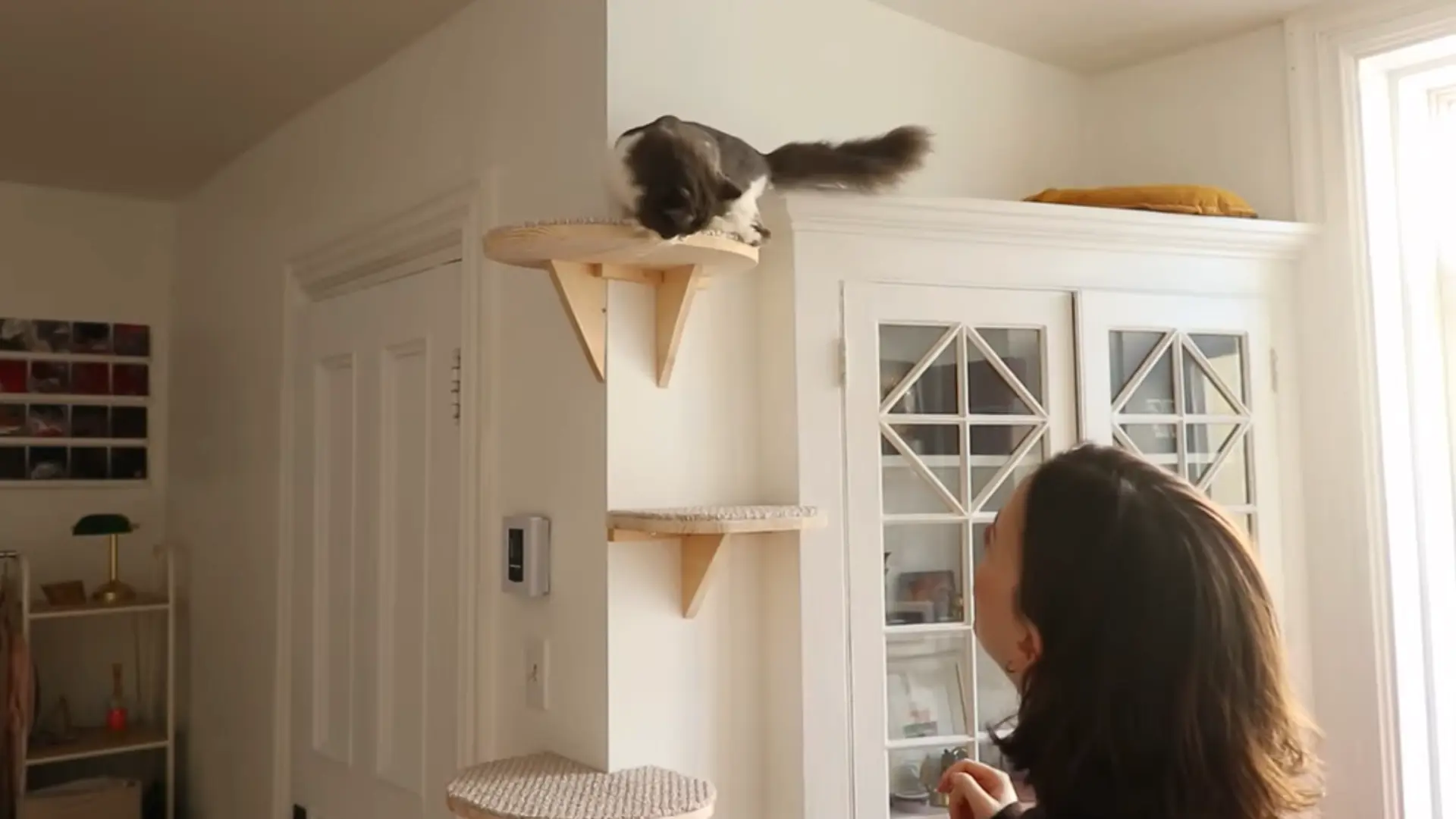 Person watching a cat climb a wall-mounted three-tiered carpeted cat perch near a cabinet.