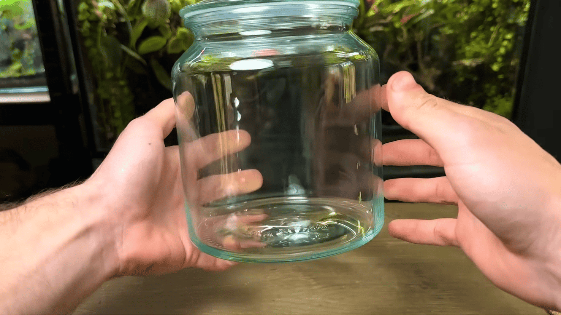 _Cleaning a glass container for making. aterrarium