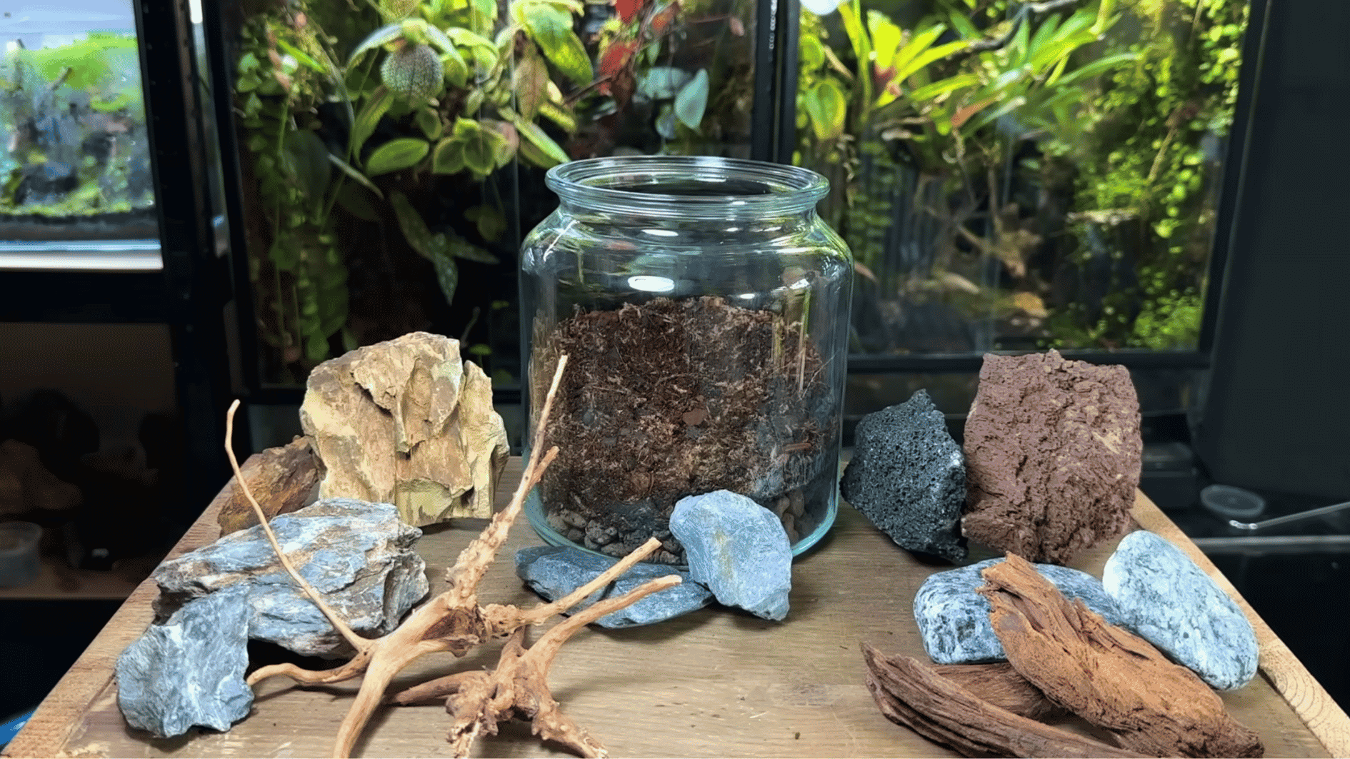 Decorative terrarium materials including natural stones, bark pieces, driftwood, and moss arranged for indoor plant styling
