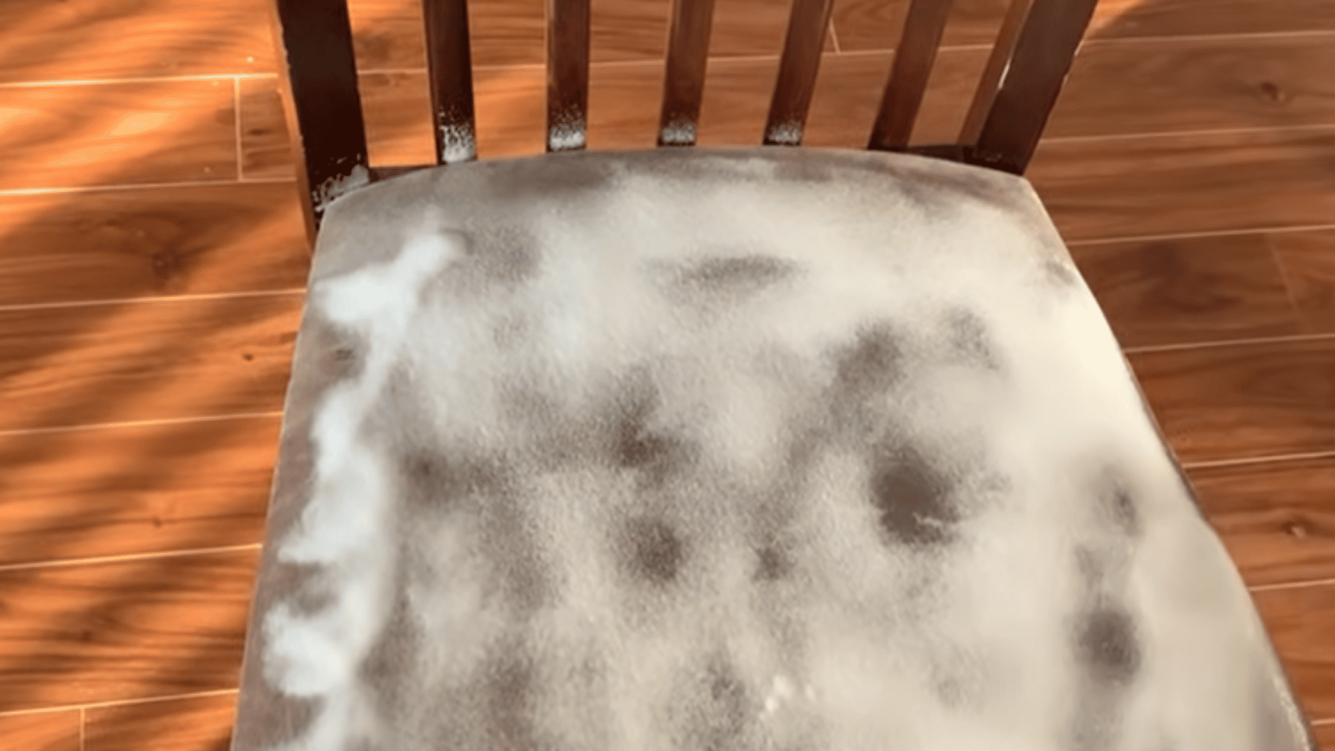 Foam cleaner sitting on a gray upholstered chair seat, spreading across stained areas as it soaks into the fabric before scrubbing.