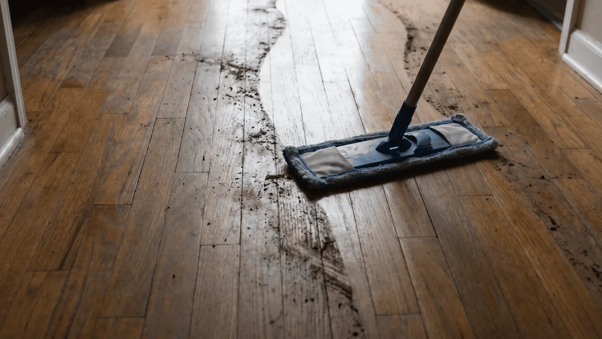 Microfiber mop cleaning dirt buildup along a floor walkway path