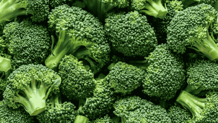 Multiple fresh broccoli florets with tight green buds viewed from above.