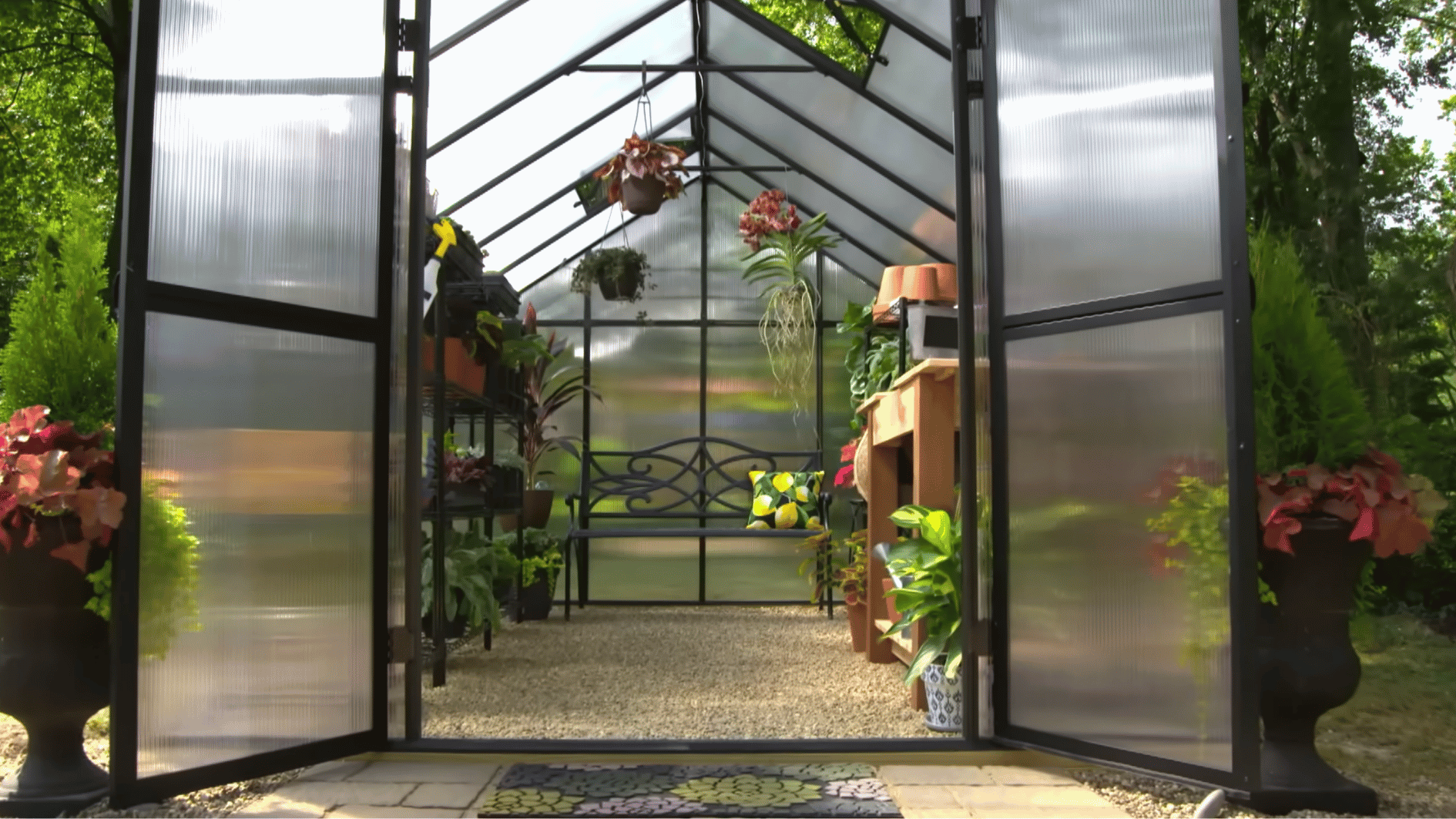 Organized greenhouse interior with plant shelves, gardening benches, watering tools, and healthy plants arranged neatly inside.