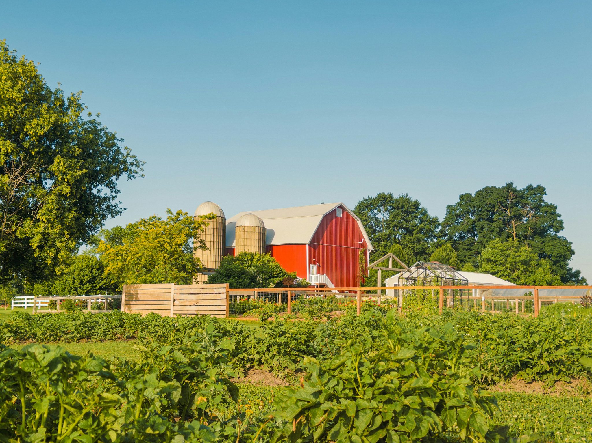 How an Electric Fence for a Garden Protects Crops Naturally