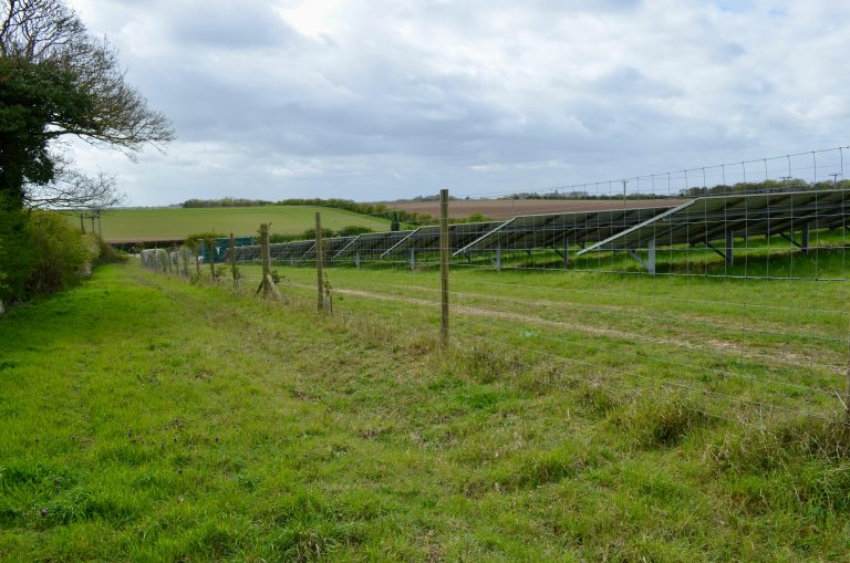 How an Electric Fence for a Garden Protects Crops Naturally