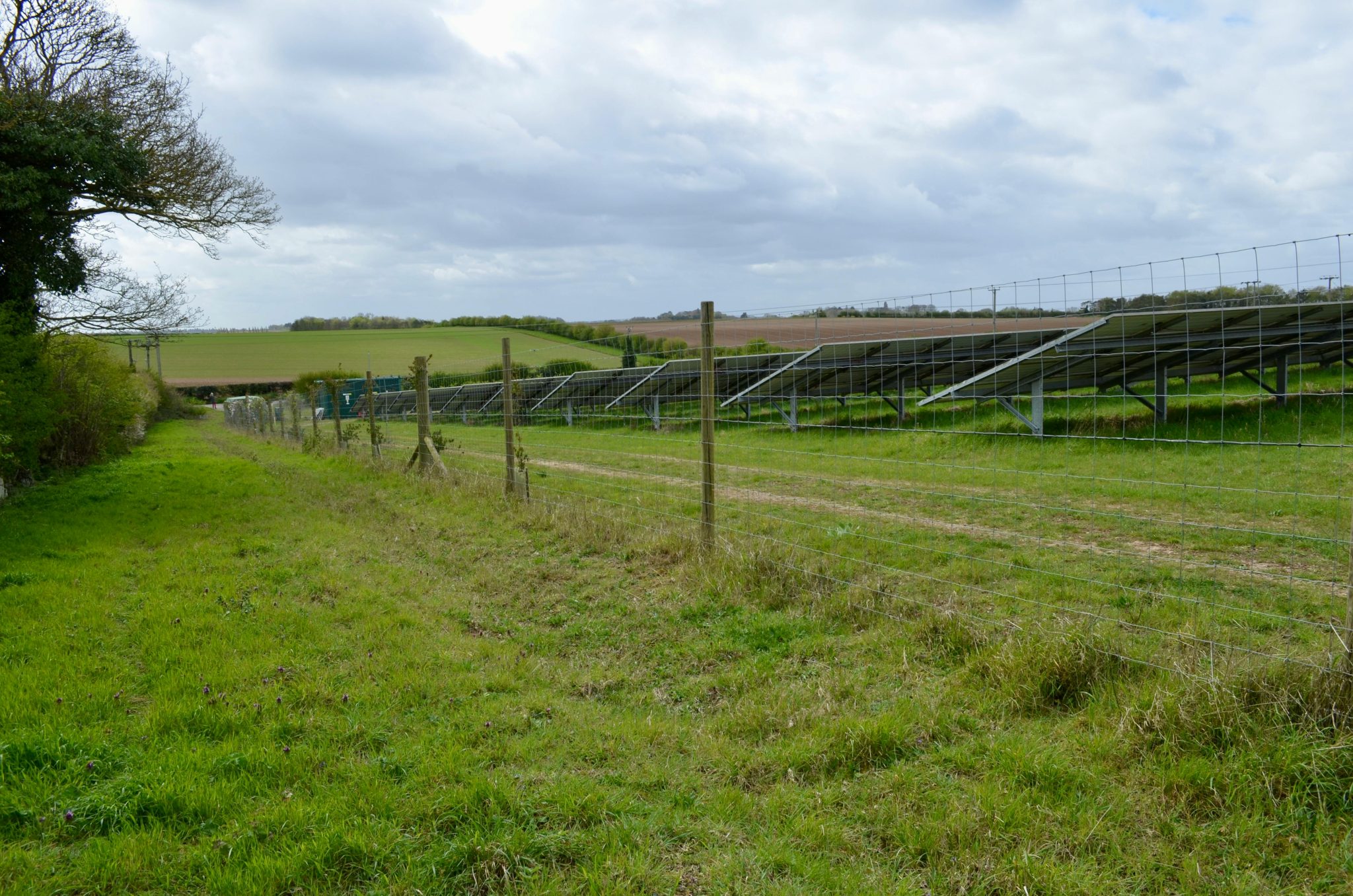 How an Electric Fence for a Garden Protects Crops Naturally