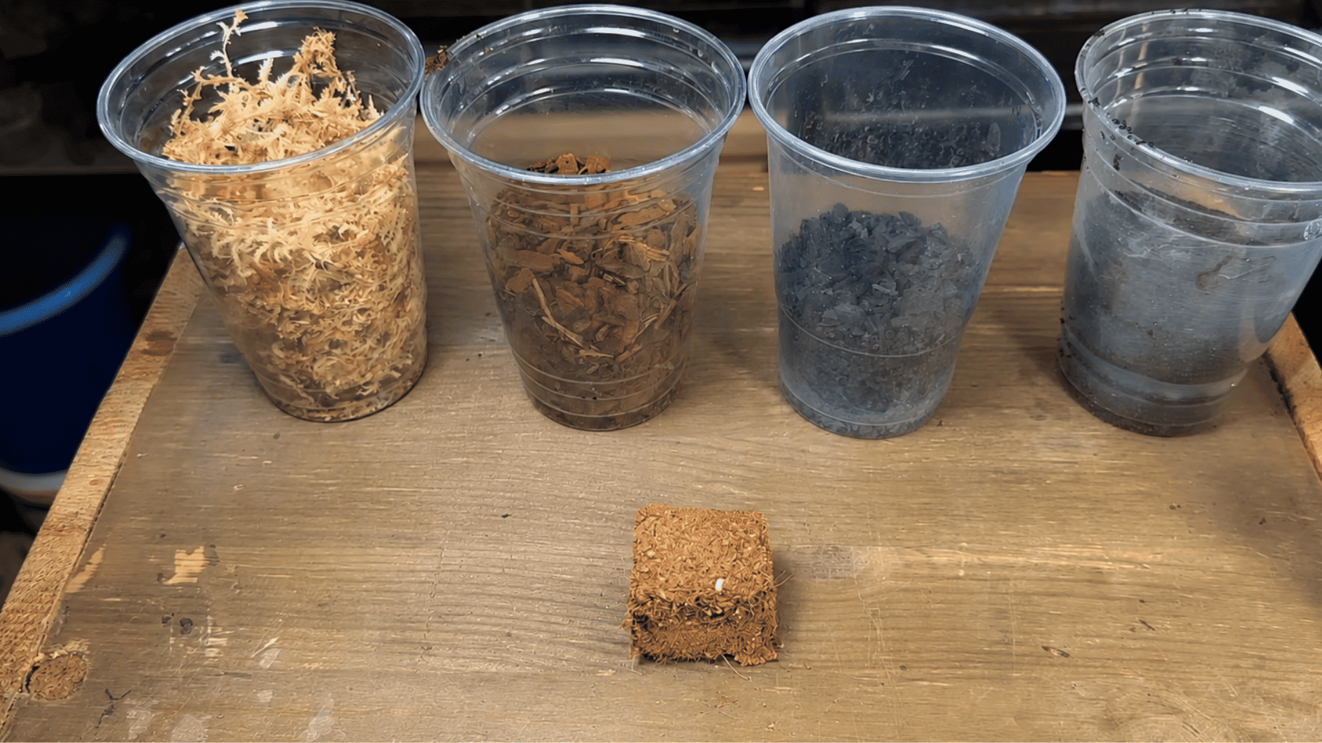 Terrarium materials including sphagnum moss, orchid bark, charcoal, coco fibre, and soil arranged on a wooden table for plant layering.