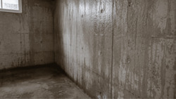 Wet concrete basement wall with visible moisture stains, water streaks, and damp floor in an unfinished basement interio-250x250