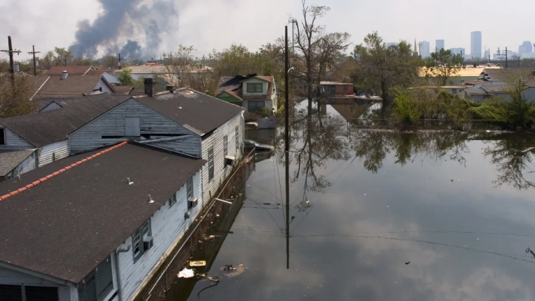 New Orleans Roof