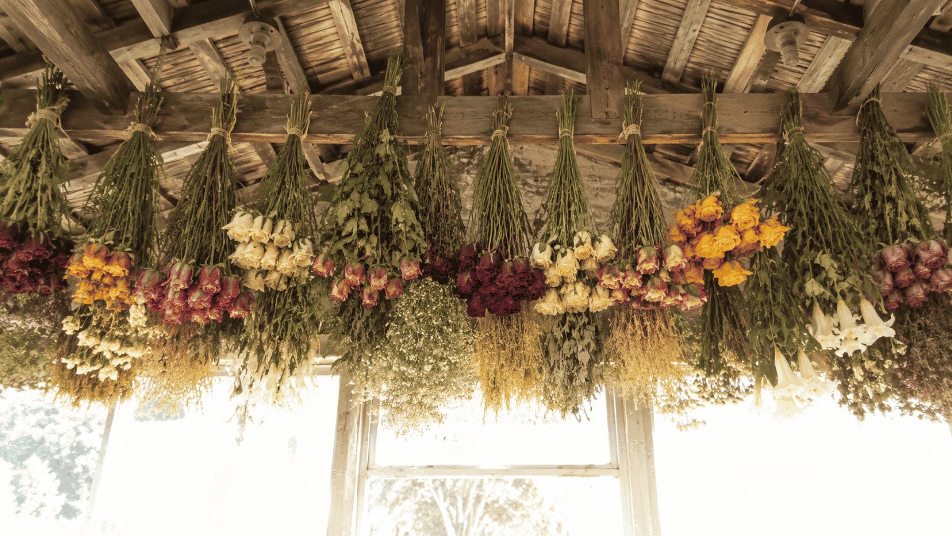 air drying flowers in sunlight for preservation