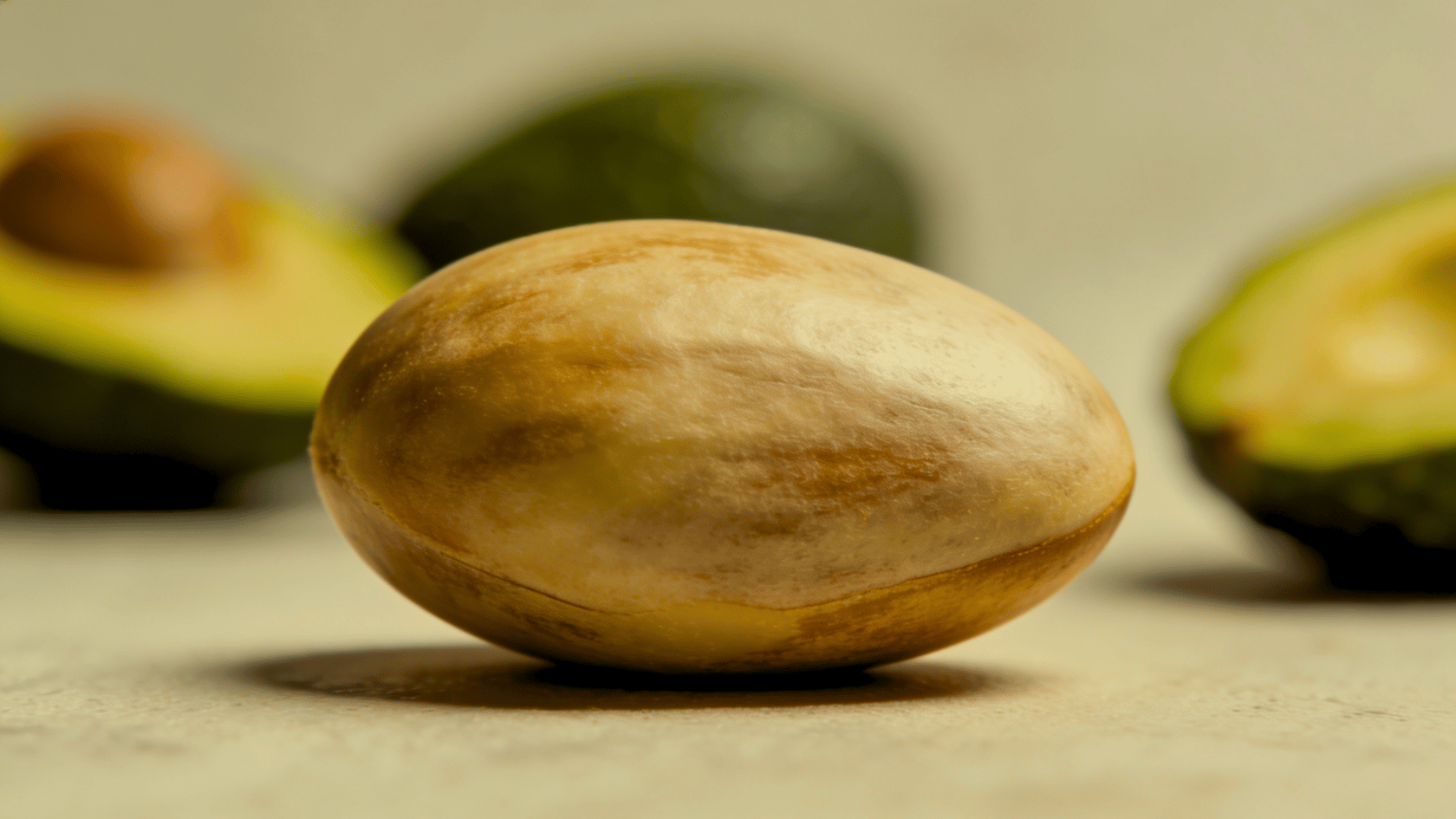 An avocado seed placed on a table