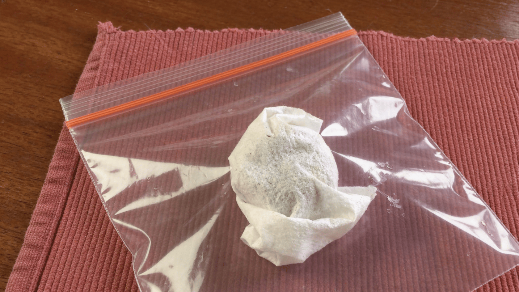 Avocado seed wrapped in damp paper towel inside sealed plastic bag during sprouting process