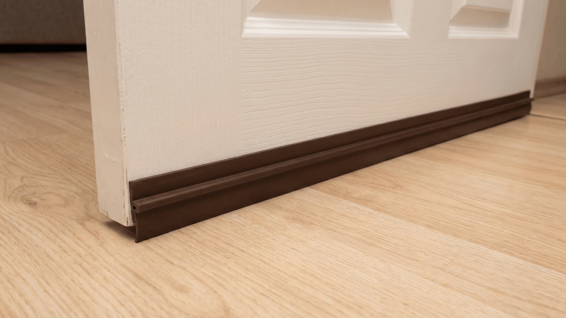 Bottom of a door with a door sweep sealing the gap against the floor (1)