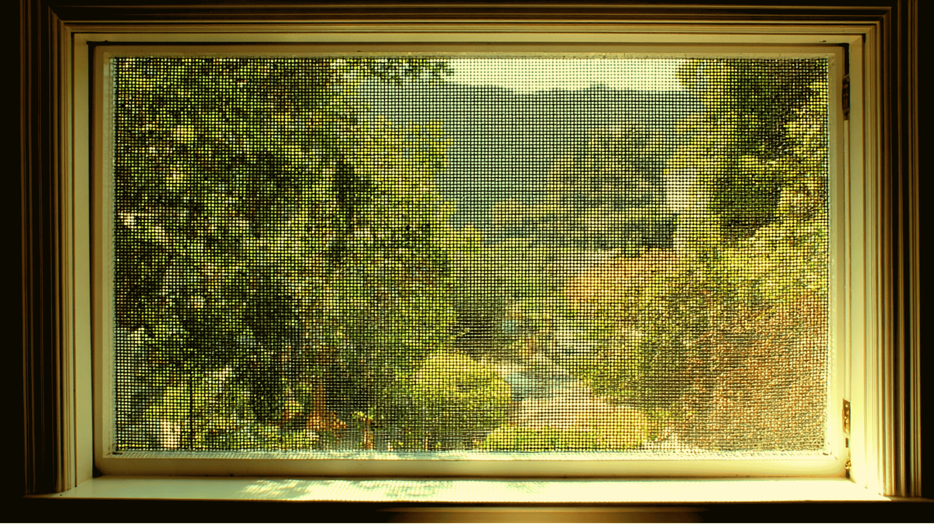 a view through window screen