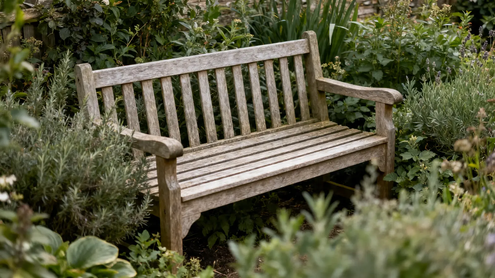 close-up of a garden bench placed within dense plants