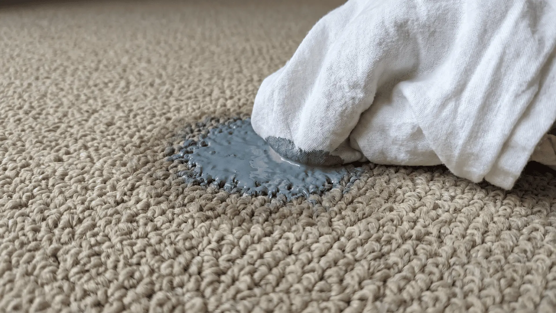 Cloth pressed into damp paint on carpet fibers