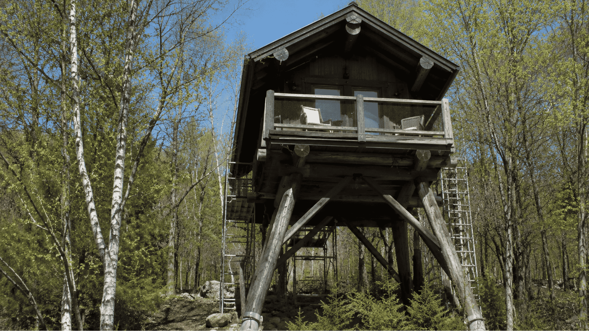 elevated pole cabin with dark wood exterior, raised stilts, forest surroundings, and simple modern design.