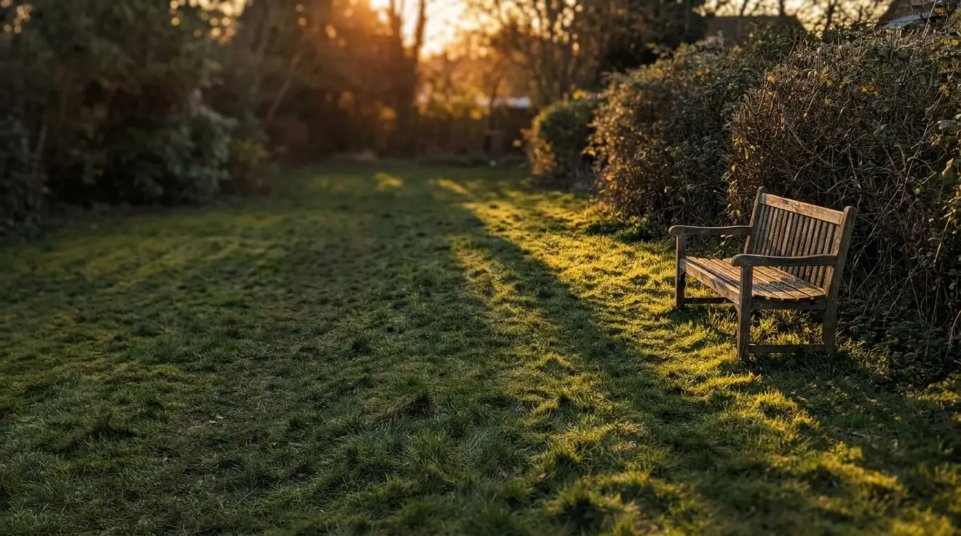 Wooden bench on grassy lawn in garden during golden hour sunlight