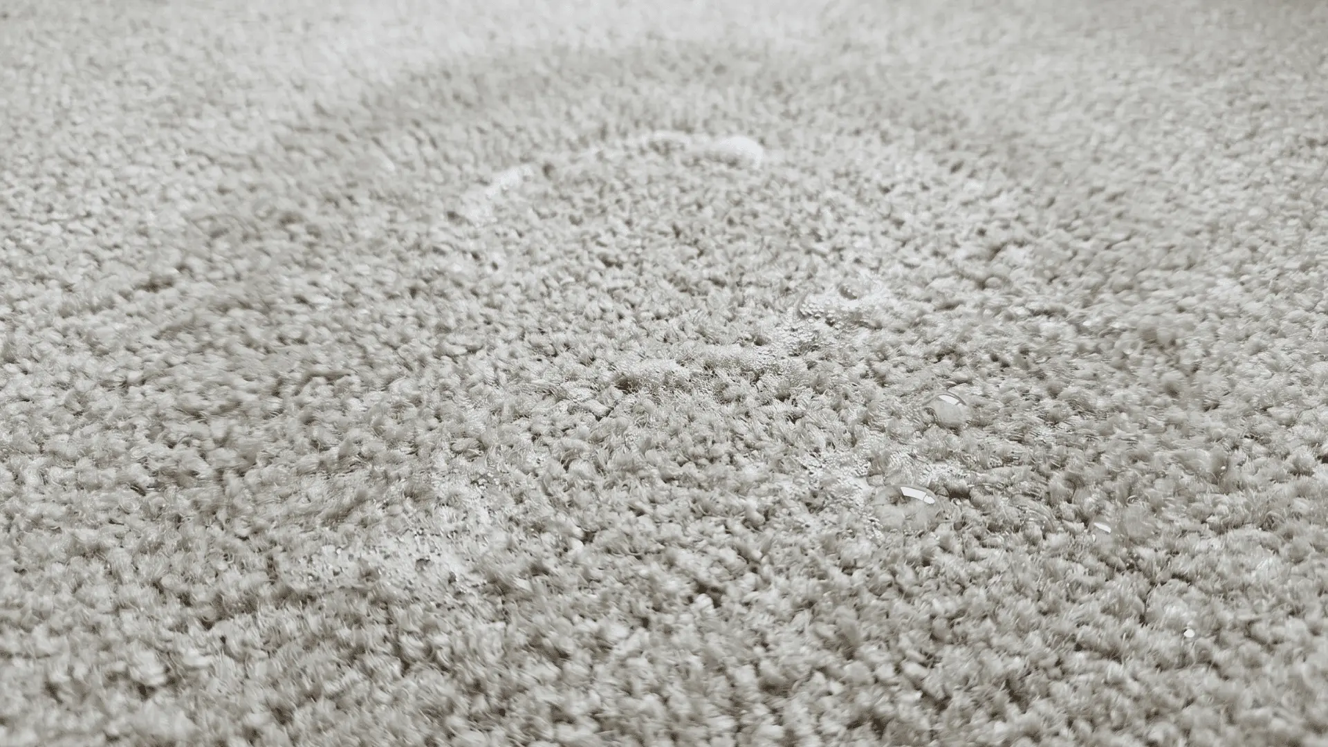 Light soap solution applied to carpet fibers after stain removal