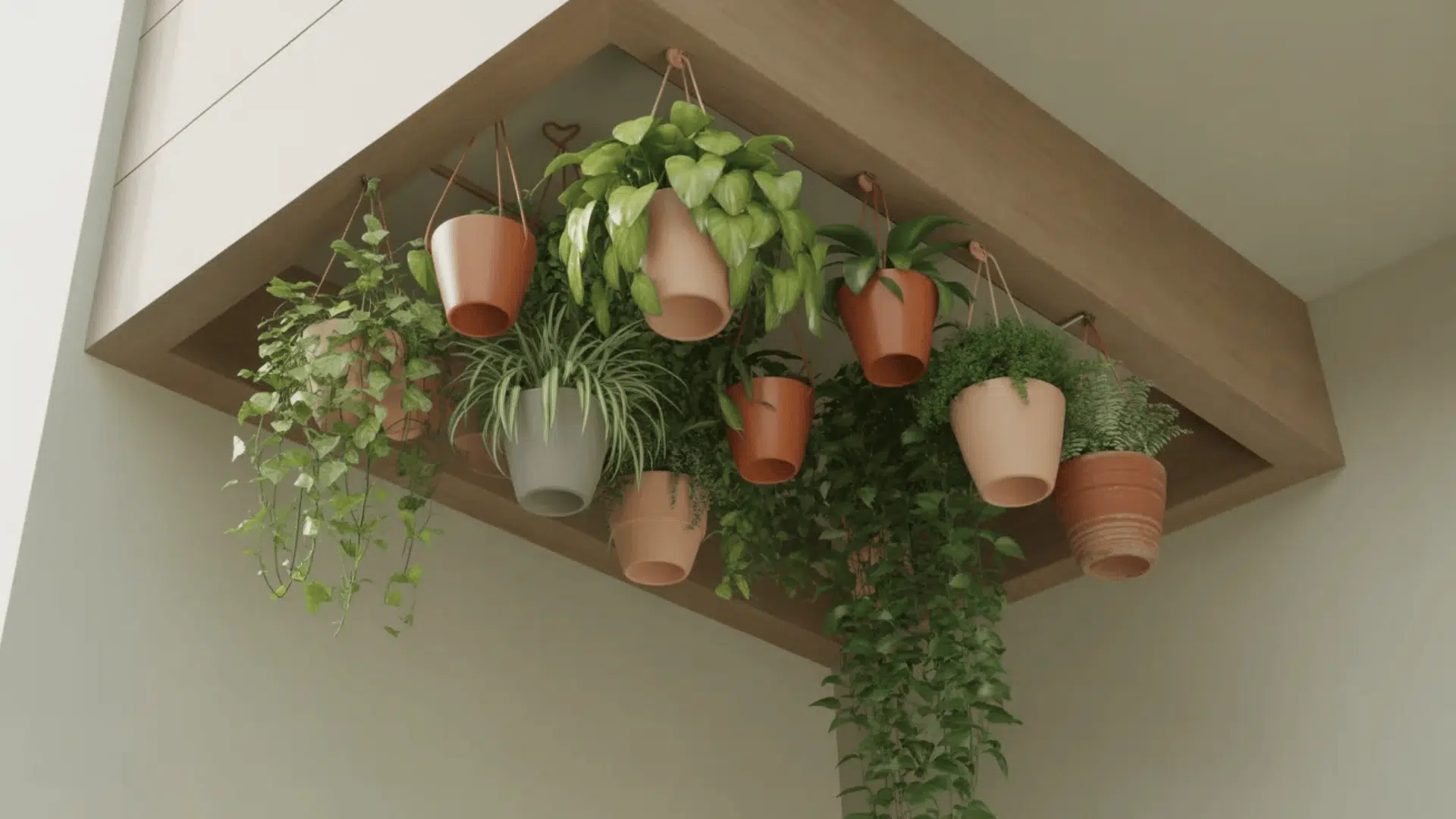 Multiple plant pots hanging at different heights in a small space