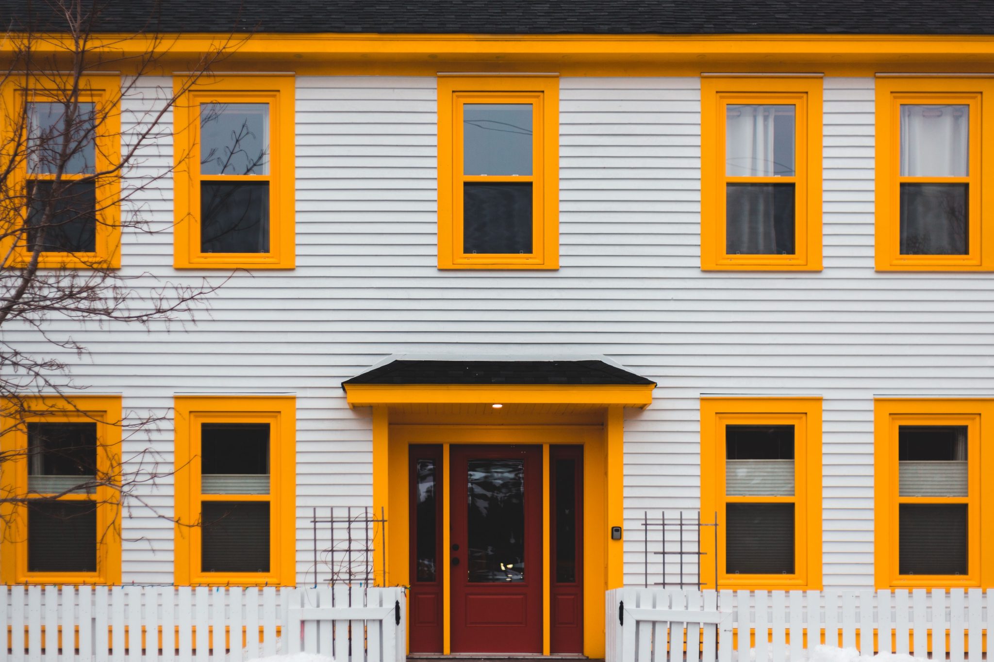 Cohesive Color Story