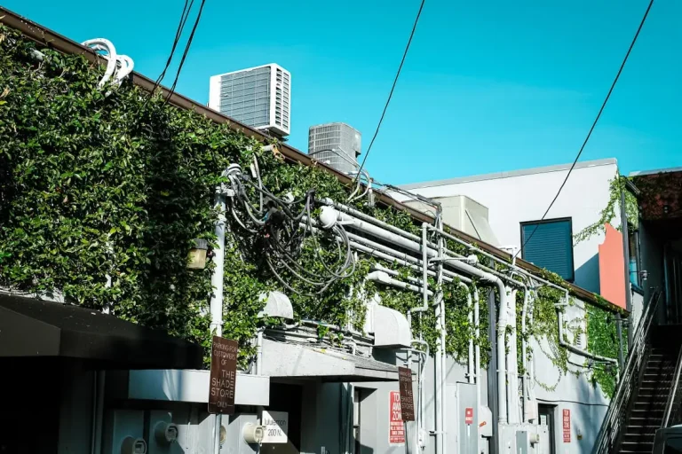 Building facade with climbing plants and exposed pipes under clear blue sky