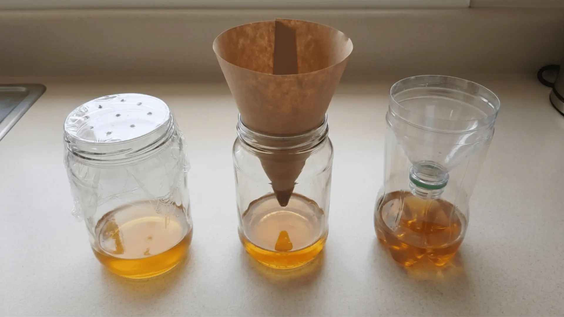 Three DIY fly traps on a counter using plastic wrap with holes, paper cone, and inverted bottle funnel with tips above liquid.