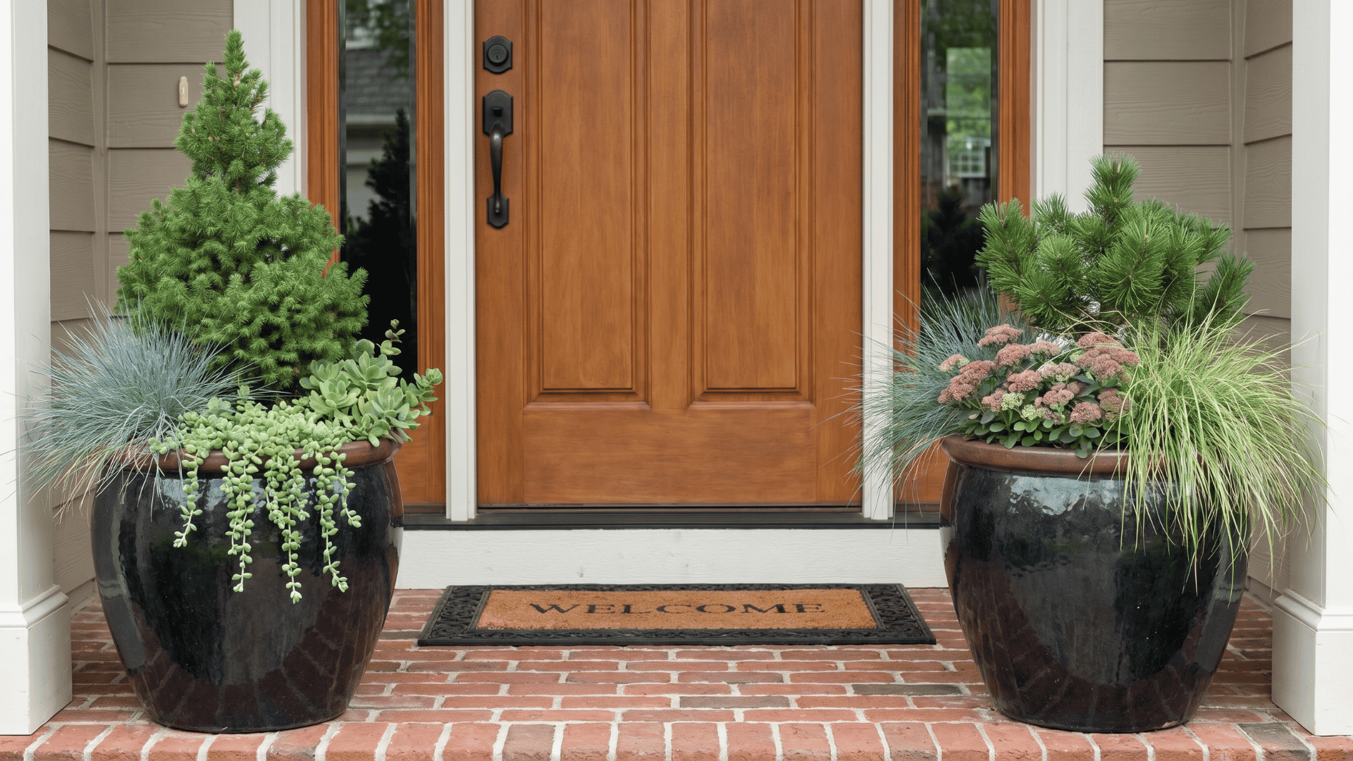 Two large planters with succulents and evergreens near front door.