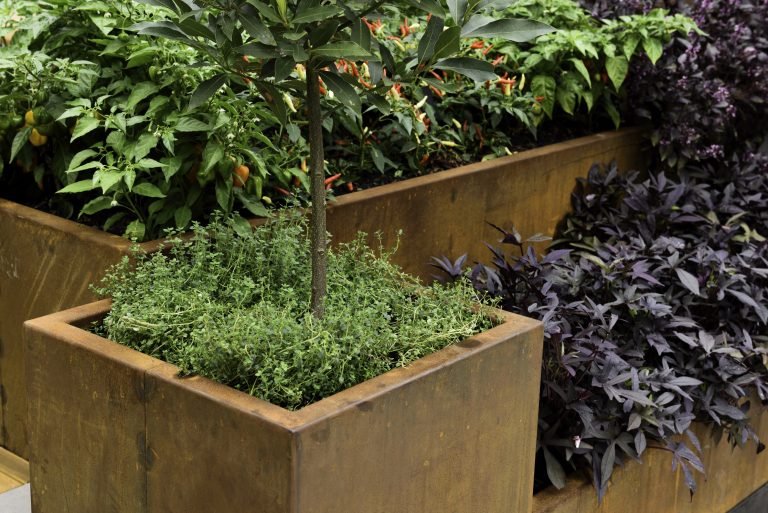 How to Define Outdoor Spaces with Modern Garden Edging