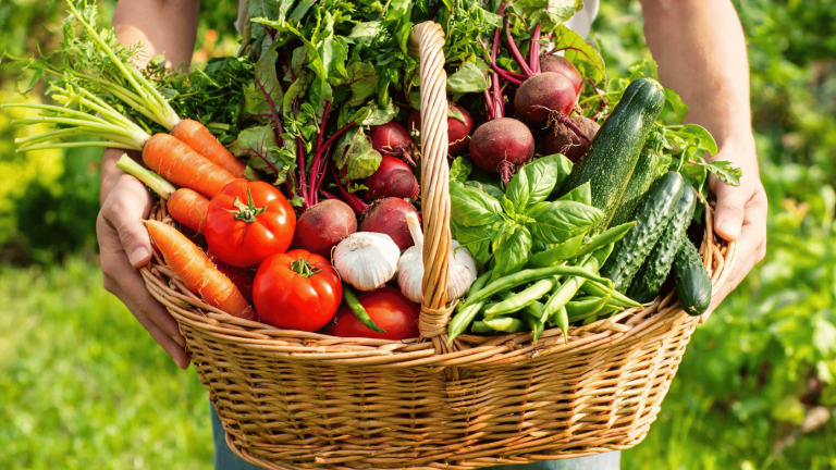 Person holding a basket filled with basil, tomatoes, carrots, beets, zucchini, cucumbers, and green beans in a garden.