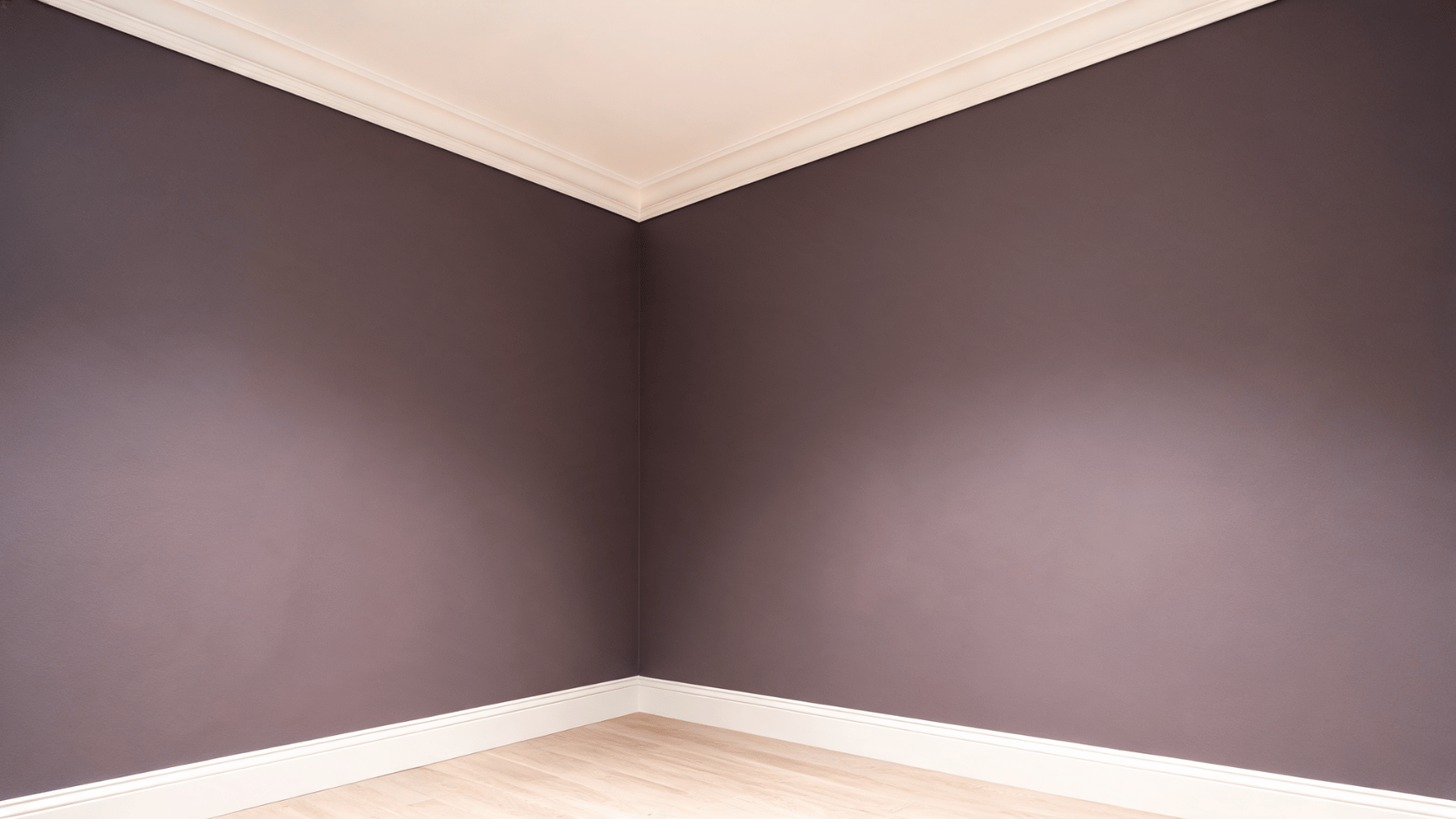 Dark plum-gray painted walls with warm-white trim in an empty interior room