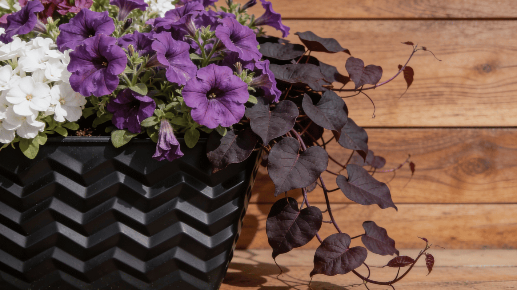 Container with Black Mondo grass, purple heuchera, dark violas, and dark gourds at a shaded entry