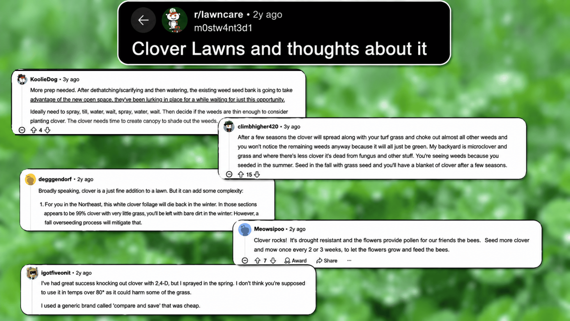 A Reddit-style collage showing discussion posts about clover lawns, layered comment cards over a blurred green clover background with user comments and post header.