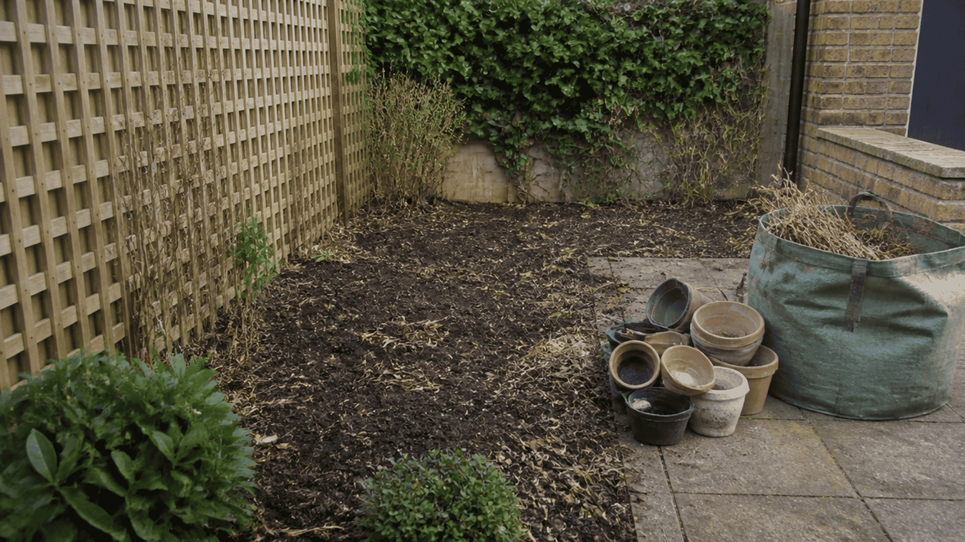 Garden area being cleared with removed pots and old plant material.