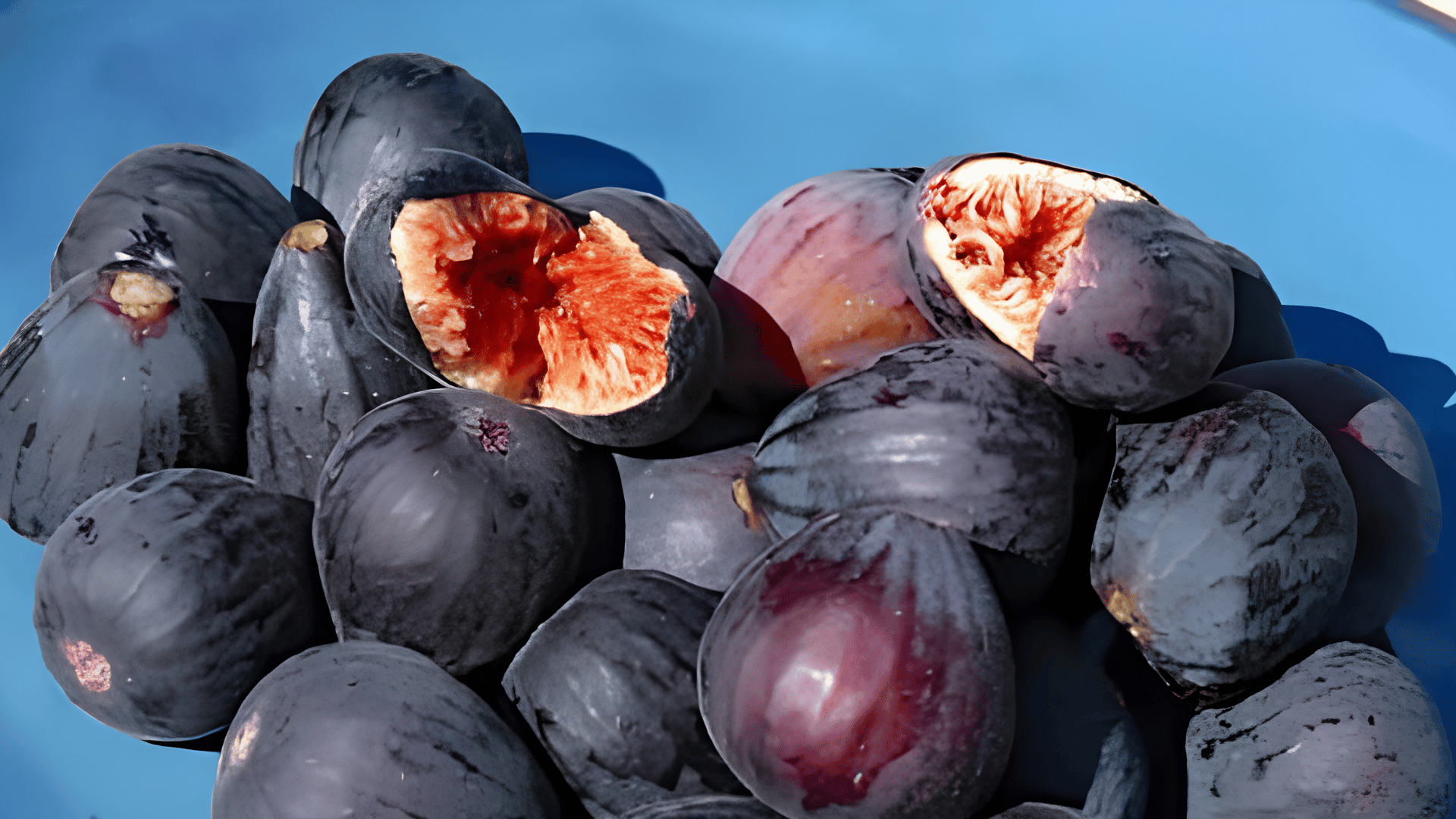 violet de bordeaux fig on blue plate showing dark purple figs with deep red jam-like interior, some sliced open