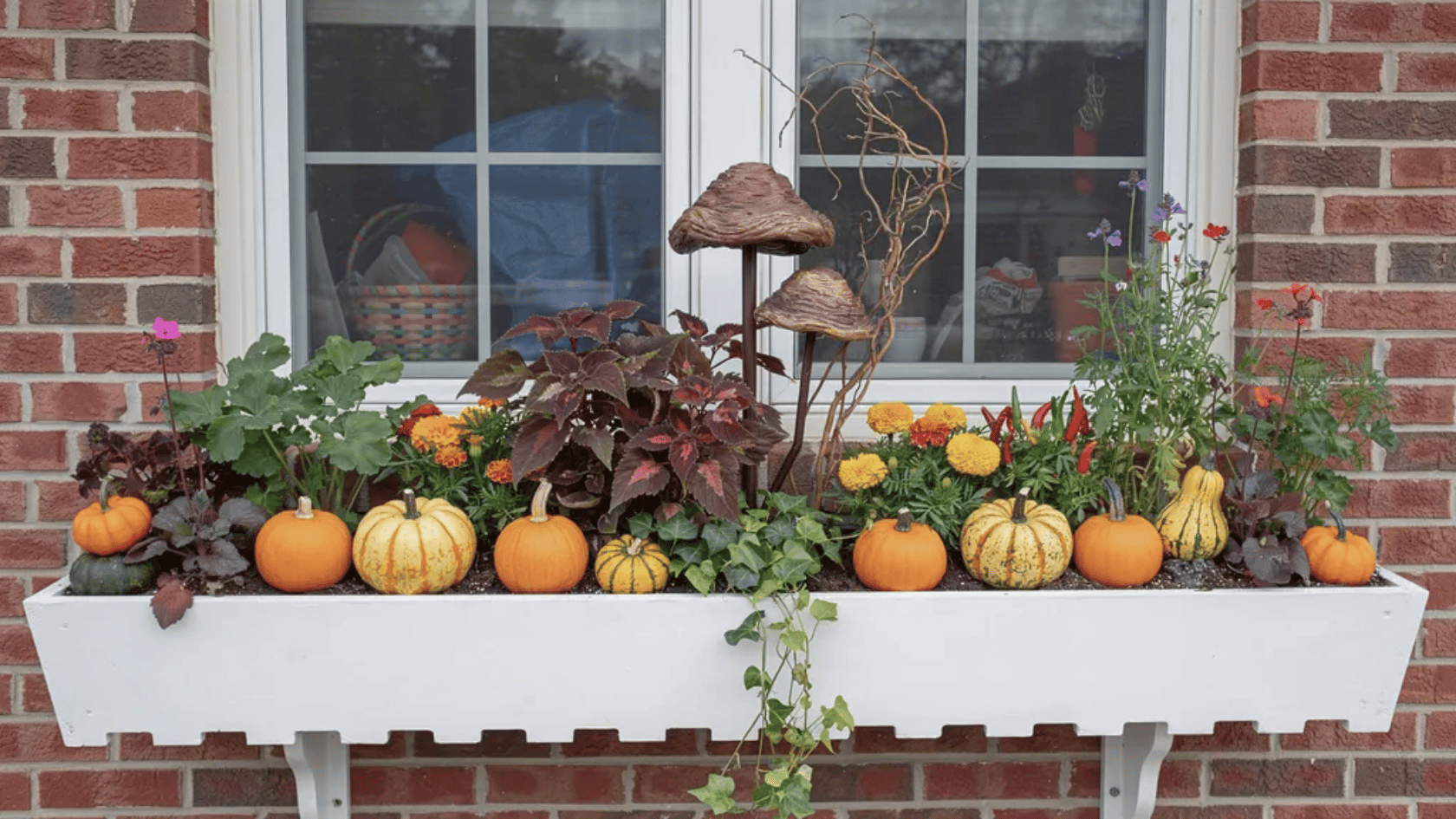 Fall window box planter with pumpkins, flowers, greenery, and seasonal autumn decorations.