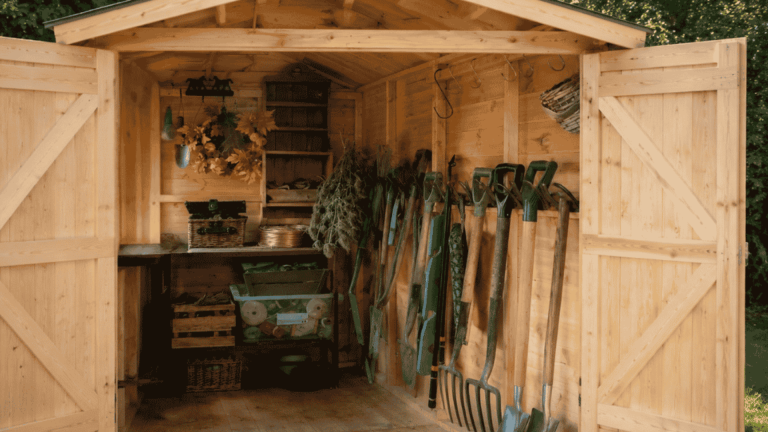 wooden she shed with open doors and organized gardening tools inside