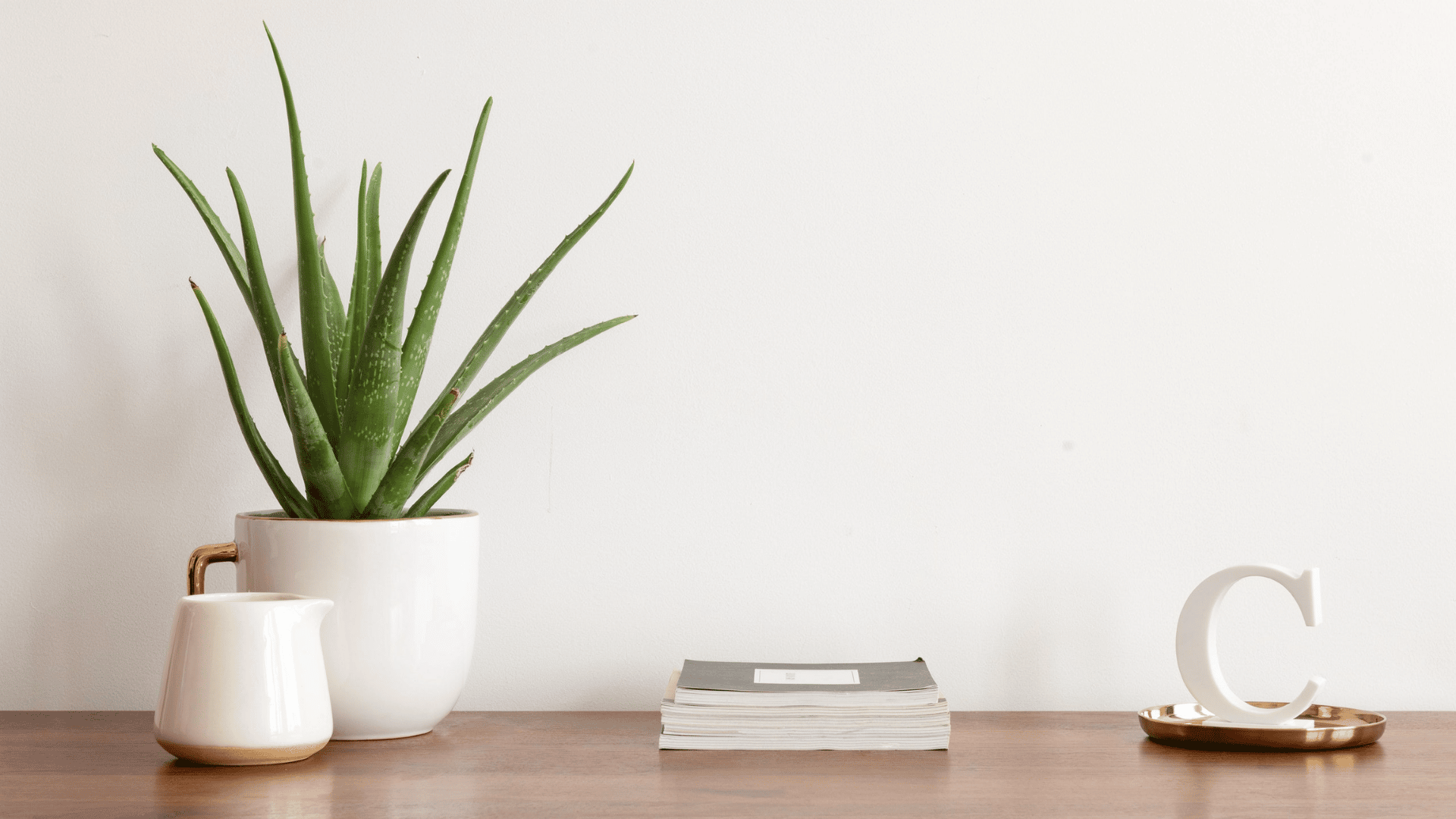 Aloe vera plant in white gold-rimmed pot on wooden shelf with books and decor
