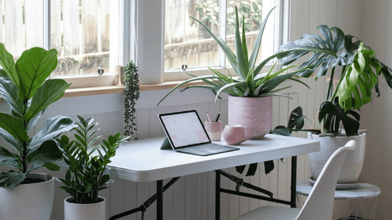 Best office plants including aloe vera and ZZ plant arranged on a desk by a window