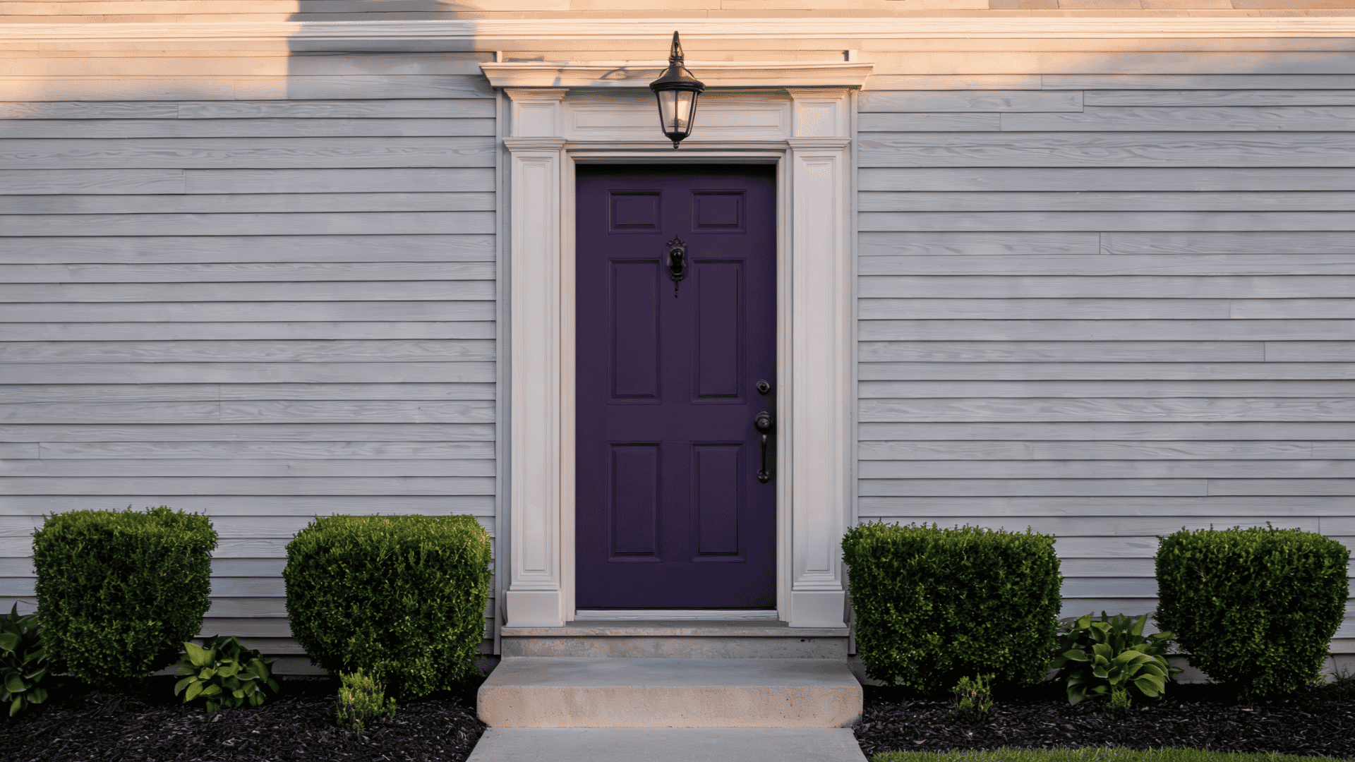 Dark purple front door with neutral exterior walls and balanced landscaping.