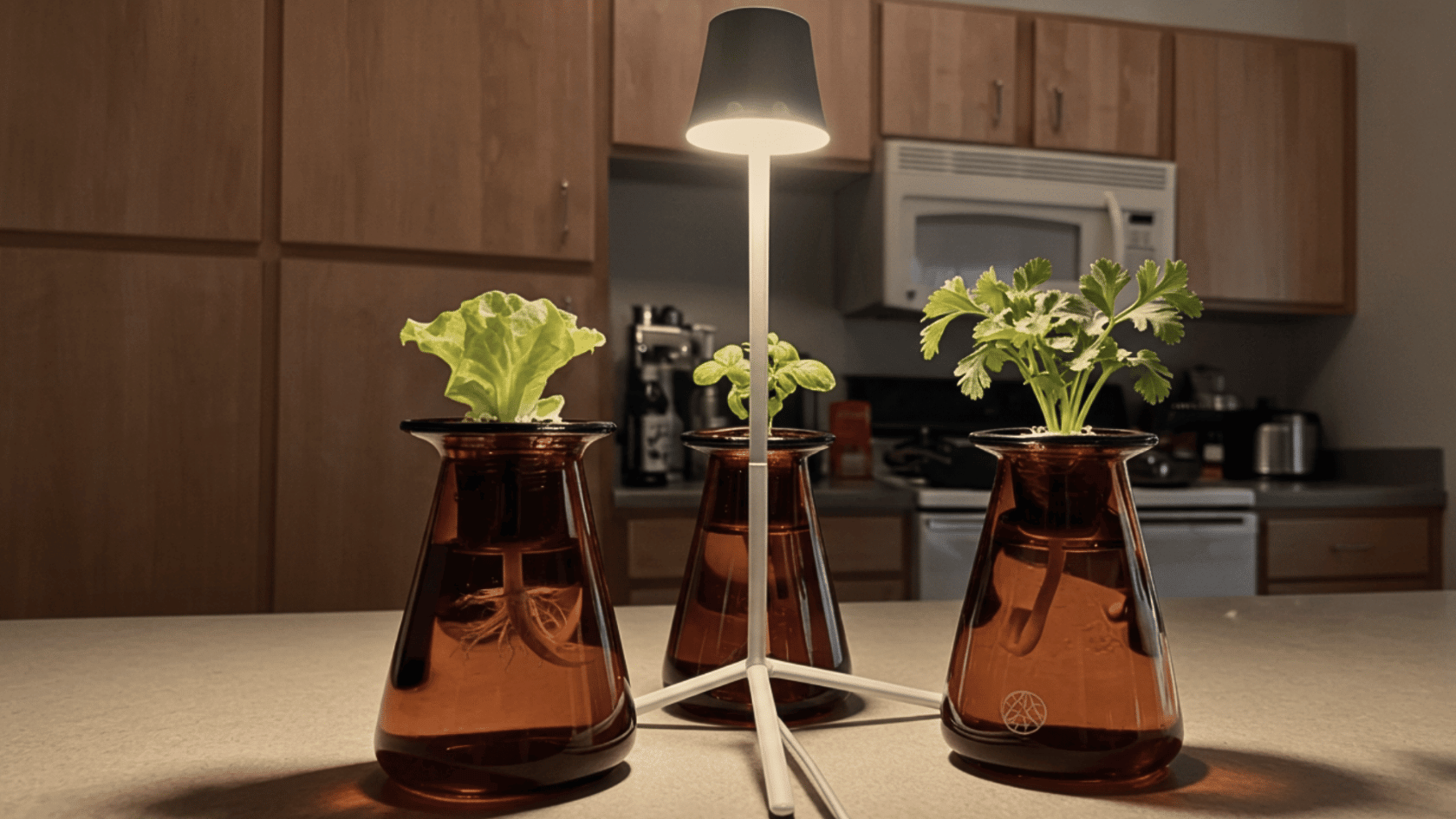 Decorative beaker-style hydroponic system growing herbs on a countertop.