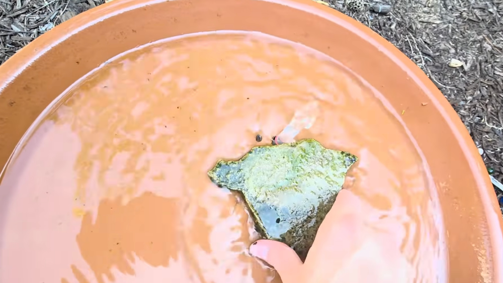 hand placing a flat rock in a shallow orange bird bath filled with water for a simple diy backyard fountain